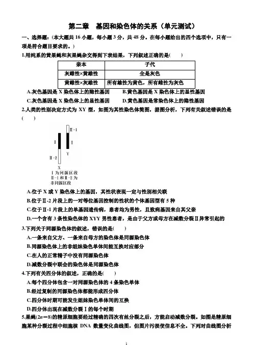第二章  基因和染色体的关系(单元测试)(附答案)高一下学期生物必修2(人教版(2019))