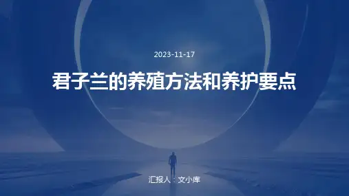 君子兰的养殖方法和养护要点