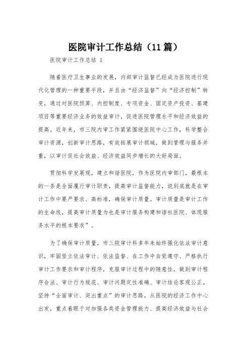医院审计工作总结(11篇)