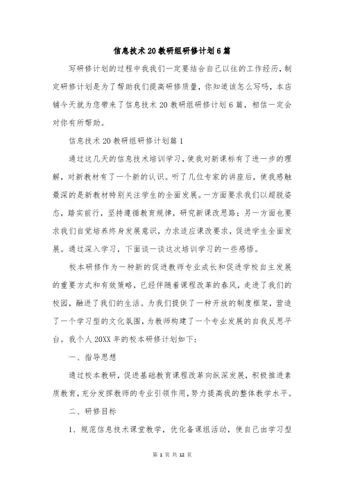 信息技术20教研组研修计划6篇