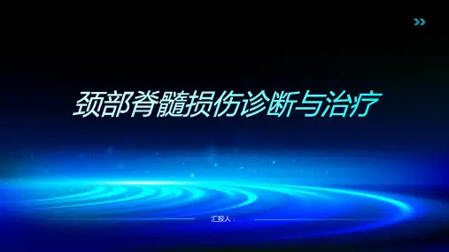 2024年颈部脊髓损伤诊断与治疗PPT
