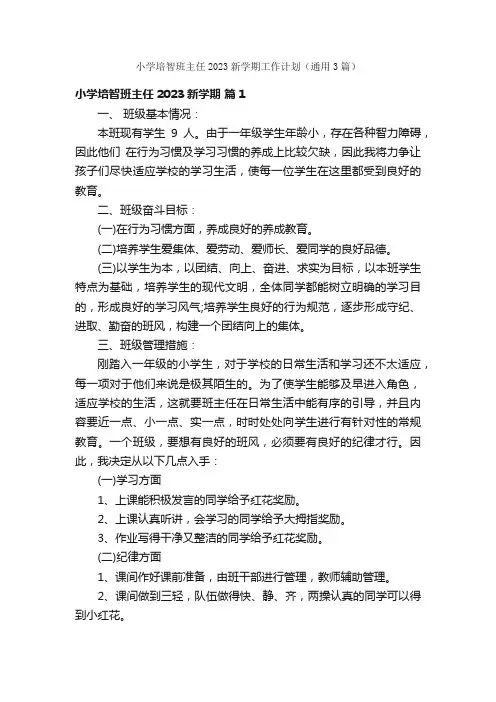 小学培智班主任2023新学期工作计划（通用3篇）
