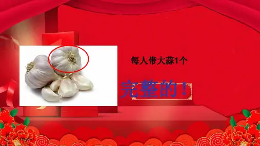 一年级科学上册 第1单元 植物 1.1 我们知道的植物课件教科小学一年级上册自然科学课件