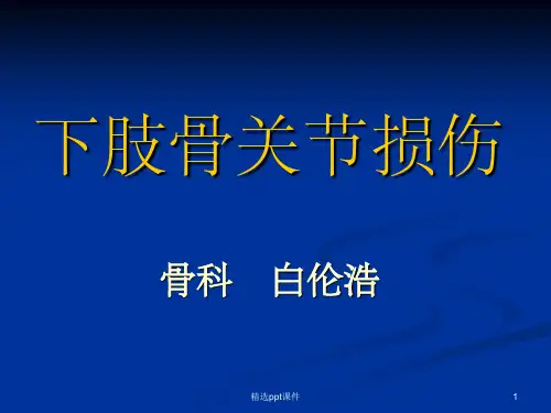 《下肢骨关节损伤》PPT课件