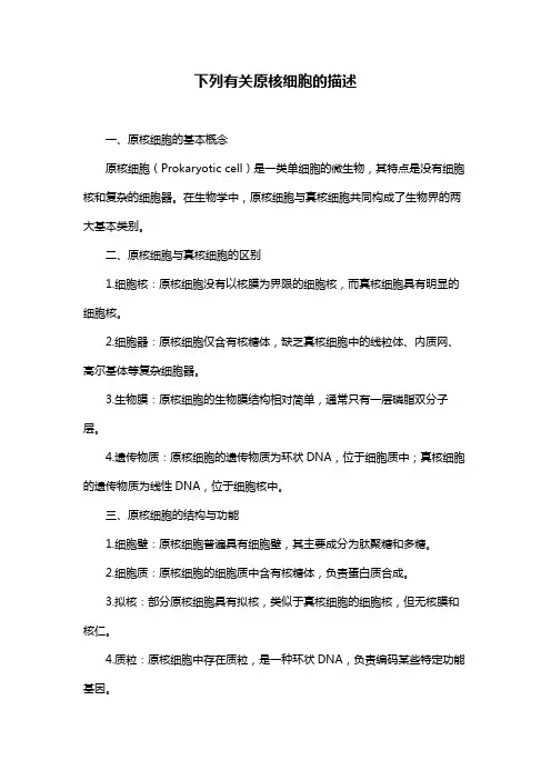 下列有关原核细胞的描述