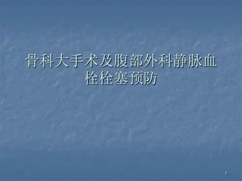 静脉血栓栓塞预防ppt课件