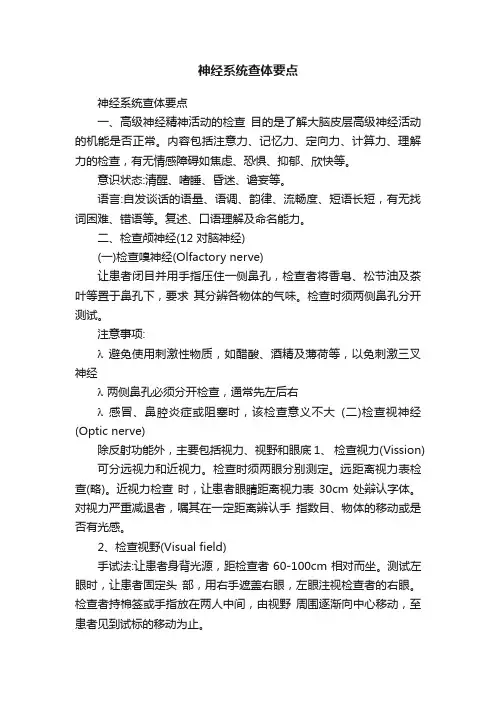 神经系统查体要点