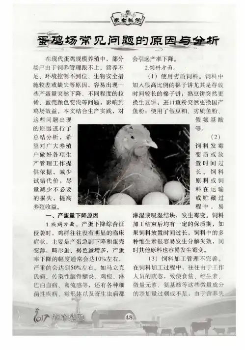 蛋鸡场常见问题的原因与分析