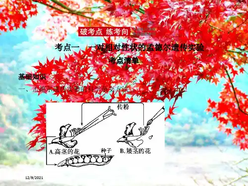 高考生物一轮复习专题11基因的分离定律课件高三全册生物课件_7