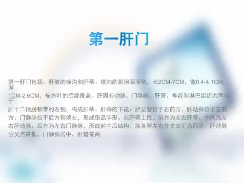 肝脏的大体构造与解剖ppt课件