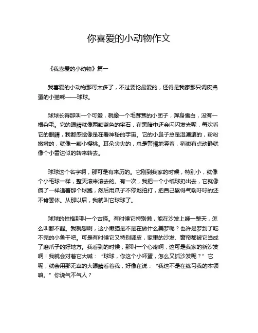 你喜爱的小动物作文