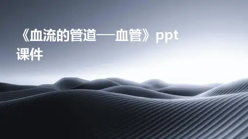 《血流的管道──血管》课件