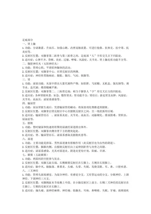 足部反射区知识