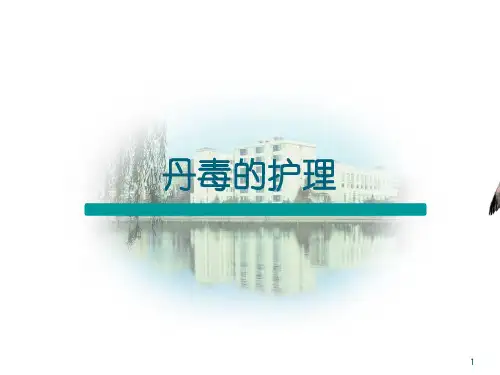 丹毒护理查房ppt课件