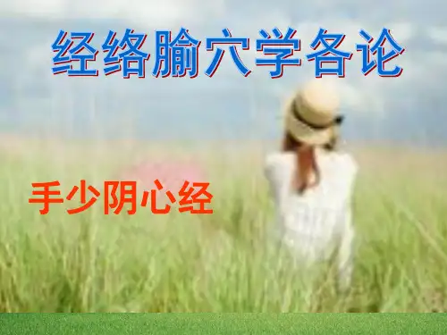 手少阴经络与腧穴