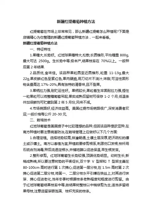 新疆红提葡萄种植方法