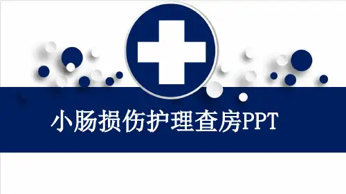 小肠损伤护理查房PPT