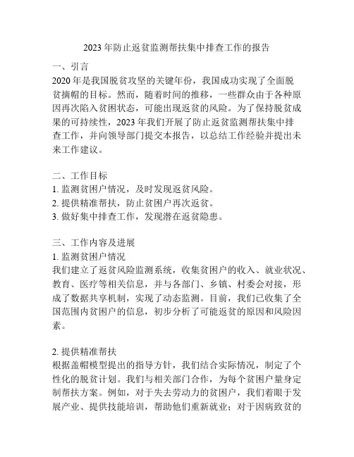 2023年防止返贫监测帮扶集中排查工作的报告