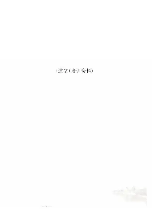 道岔(培训资料)