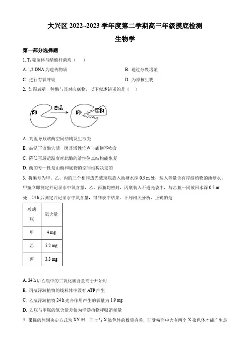 精品解析：北京市大兴区2022-2023学年高三下学期模拟检测生物试题(原卷版)