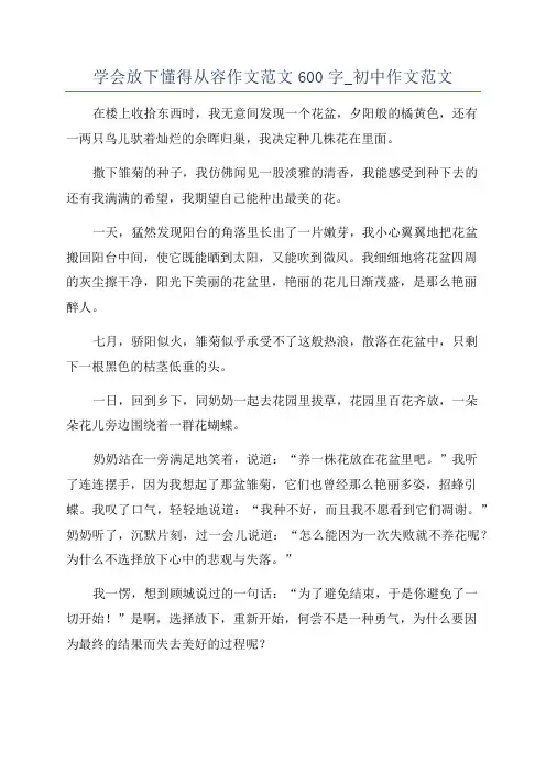 学会放下懂得从容作文范文600字_初中作文范文