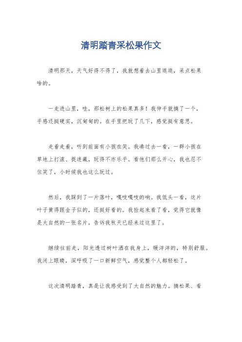 清明踏青采松果作文