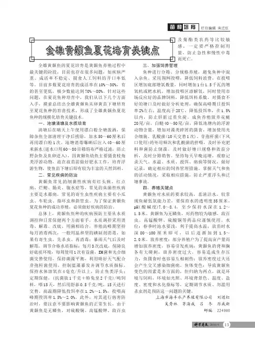 全雄黄颡鱼夏花培育关键点