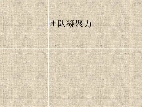 如何打造团队凝聚力(PPT51页)