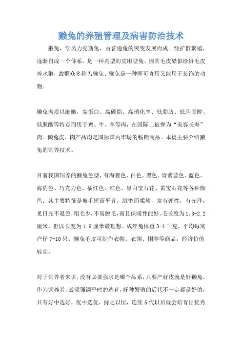獭兔的养殖管理及病害防治技术