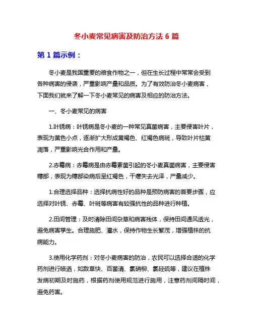 冬小麦常见病害及防治方法6篇