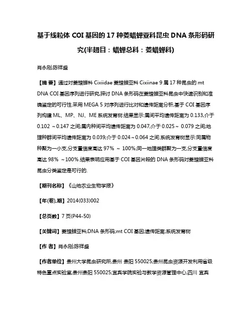 基于线粒体COI基因的17种菱蜡蝉亚科昆虫DNA条形码研究(半翅目:蜡蝉总科:菱蜡蝉科)