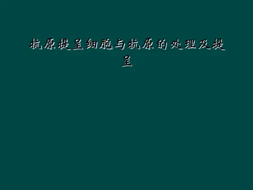 抗原提呈细胞与抗原的处理及提呈