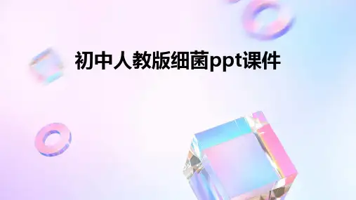 初中人教版细菌ppt课件