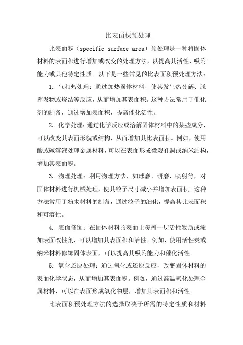 比表面积预处理