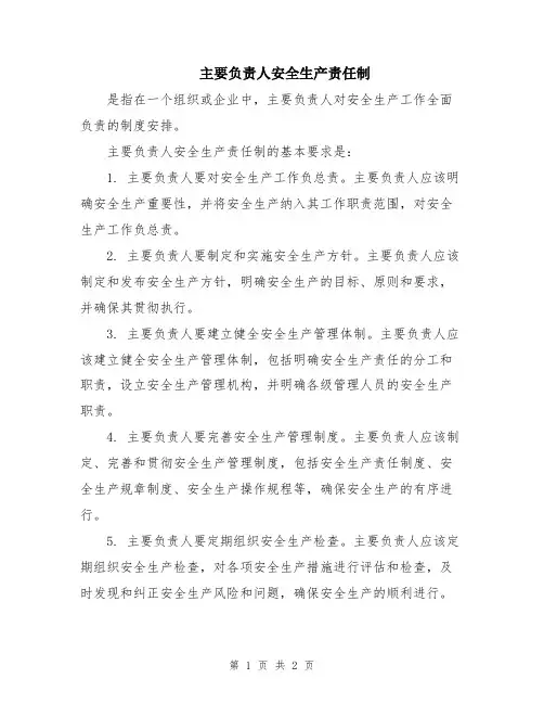 主要负责人安全生产责任制