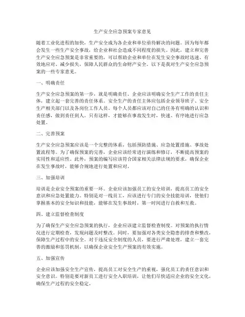 生产安全应急预案专家意见
