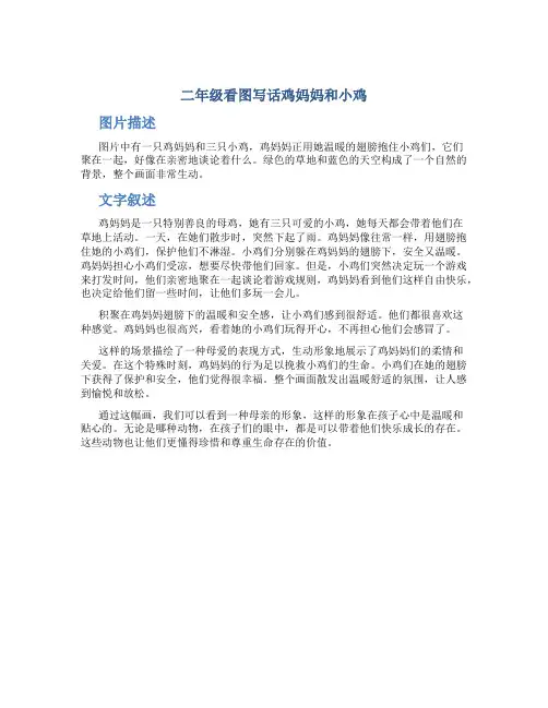 二年级看图写话鸡妈妈和小鸡作文字小学二年级看图写话作文