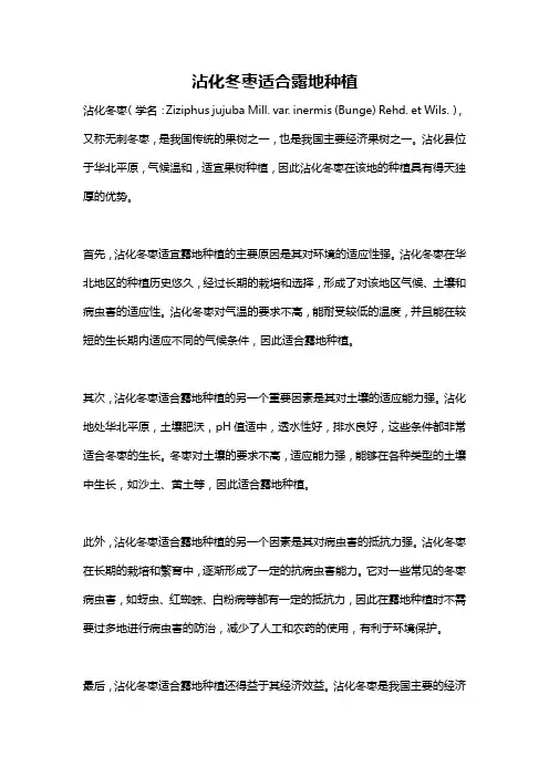 沾化冬枣适合露地种植