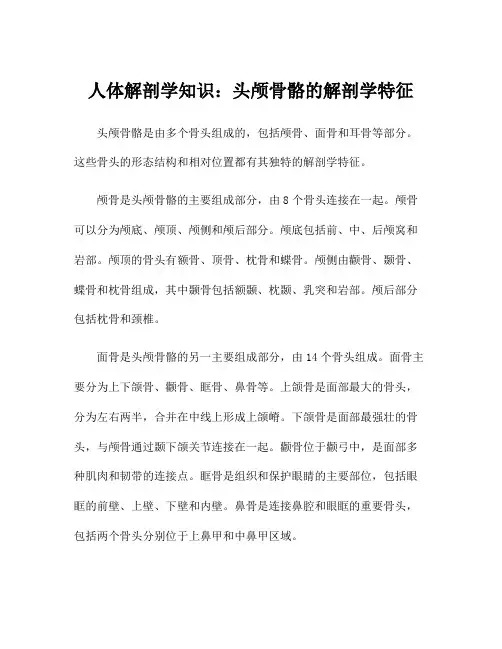 人体解剖学知识：头颅骨骼的解剖学特征