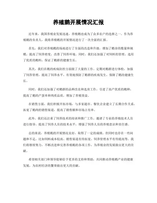 养殖鹅开展情况汇报