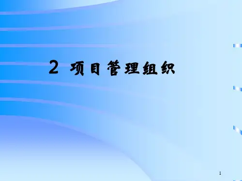项目管理组织概述(PPT53页).ppt