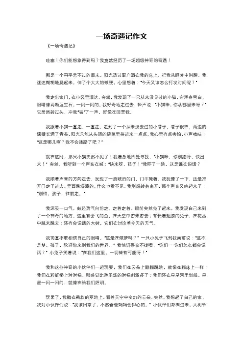 一场奇遇记作文