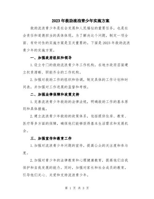 2023年救助流浪青少年实施方案