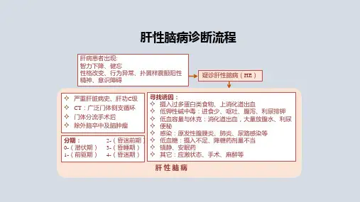 肝性脑病诊断流程(流程图)