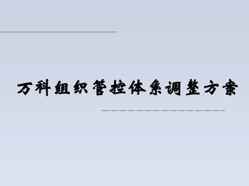 2023-某地产组织管控体系及其调整方案