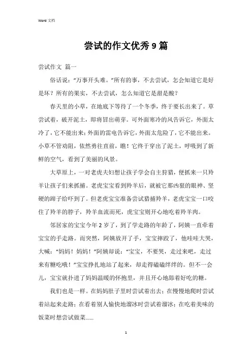 尝试的作文9篇