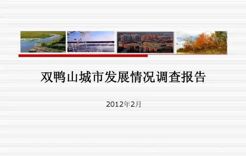 双鸭山城市发展情况调查报告