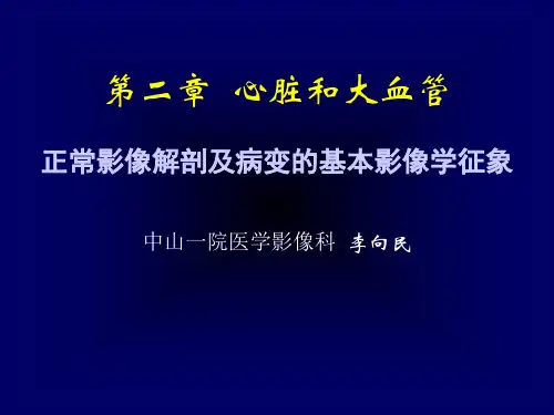 心脏大学管影像诊断