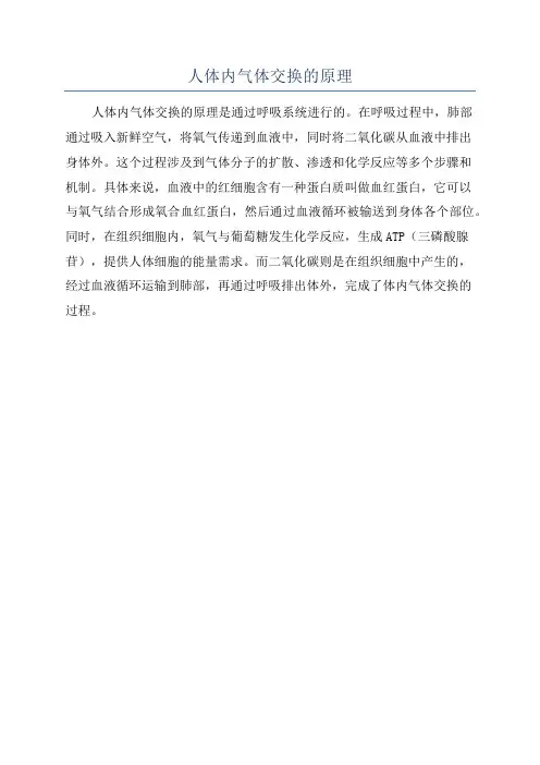 人体内气体交换的原理