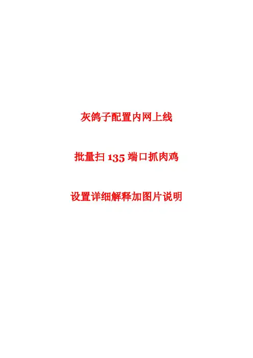 灰鸽子配置内网上线批量扫135抓鸡详解加图